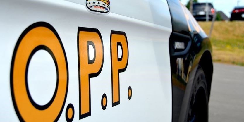 Closeup shot of the OPP decal on a police cruiser.