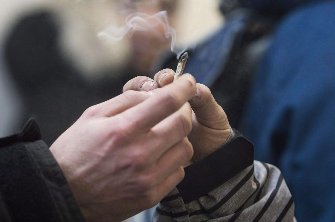 Marijuana is by far the most-seen drug in fatal accidents, says MADD Canada.  (GRAHAM HUGHES / THE CANADIAN PRESS) 
