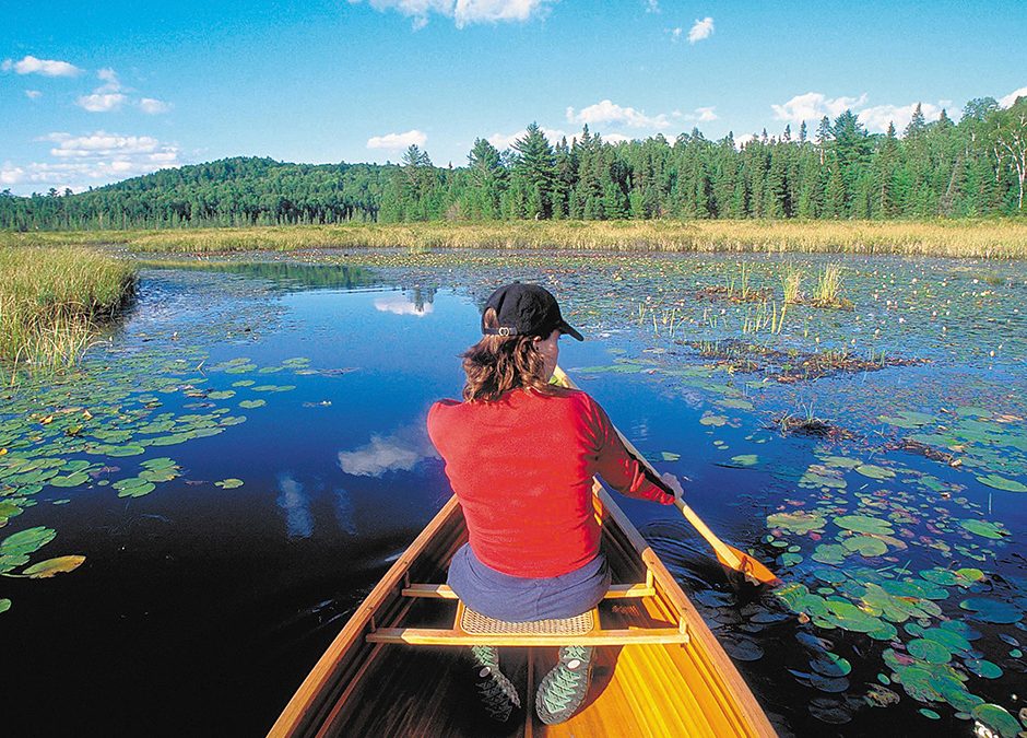 Canada set to remove drunk canoeing as an impaired driving offence