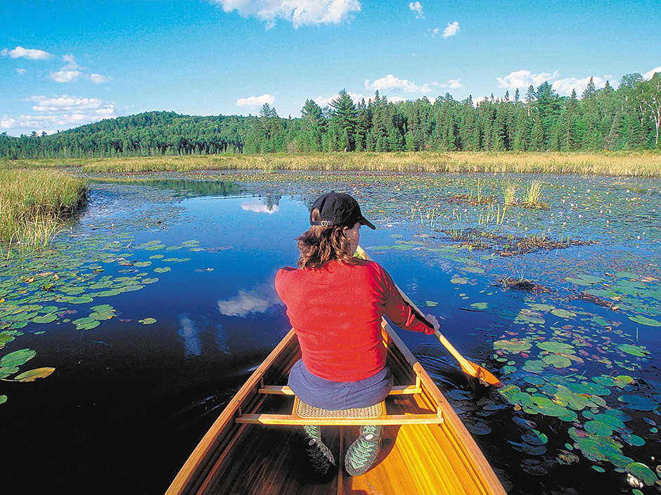Canoeing in Algonquin Provincial Park