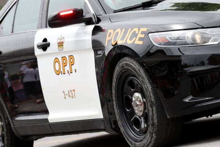 OPP charge Thunder Bay man with stunt driving, failing to stop for school bus