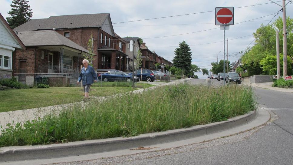 City rolls back order to elderly couple to cut traffic island grass