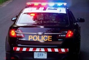 Busy Weekend For Bruce Peninsula OPP