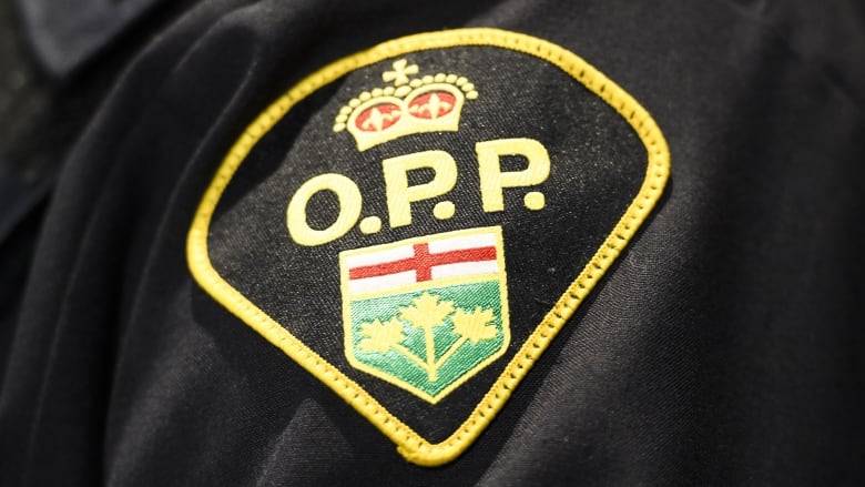 Impaired driving charges laid after small boy falls out of moving vehicle: OPP