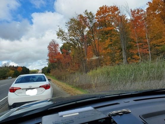 $110 and 2 points, please: Caledon OPP ticket motorist for driving too slow on Hwy. 10 near Orangeville